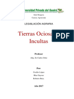 Tierras Ociosas o Incultas