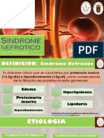 Sindrome Nefrotico