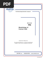 06 Morphology of Caner Cells