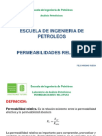 Permeabilidades Relativas PDF