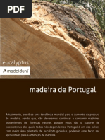 Eucalipto Madeidura - Madeira de Portugal