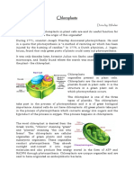 Science Chloroplasts
