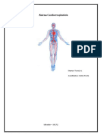 Sistema Cardiovascular