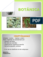 BOTÁNICA