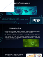 Traducción en Virus