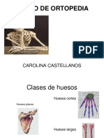 Curso de Ortopedia Orto I