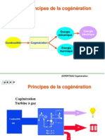 Cogeneration