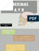 Orexinas Hipocretinas A y B