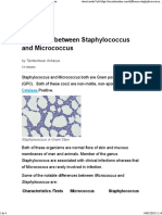 Staphylococcus and Micrococcus