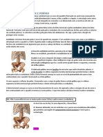 Resumo Sobre Pelve e Perineo Aula de Anatomia - Ossos e Músculos