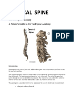 Cervical Spine