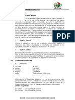 Memoria Descriptiva Puente Cochalan PDF