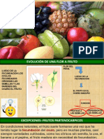 Biología Vegetal El Fruto