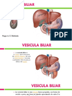 Vesicula Biliar