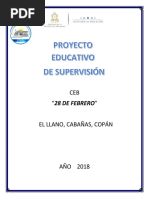 Proyecto Educativo de Supervisión CEB 28 Febrero