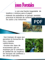 Regiones Forestales y Pesqueras