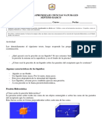 Guía de Aprendizaje Flotabilidad