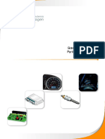 Sistema E-Flex e Partida Assistida PDF