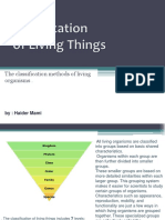 Classification of Living Things