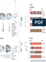 Diferencias Entre Serpientes Venenosas y No Venenosas