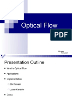 Optical Flow: Rizwan Manzoor