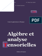 Algèbre Et Analyse Tensorielles - 2 PDF