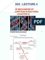 Lecture 4 - Mechanism of Transcription in Bacteria