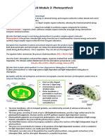 4.3.1 Photosynthesis