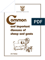 Common Diseases in Goats and Sheep