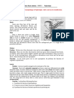 PTERIDOPHYTA FYBSc Notes