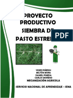 Proyecto Productivo - Pasto Estrella 1