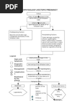 Pa Tho Physiology of Ectopic Pregnancy