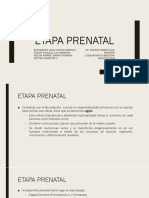 1.1 Etapa Prenatal