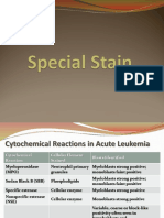 Hematology Special Stain