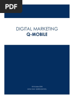 Digital Marketing: Q-Mobile