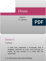 Drone