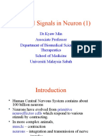 Electrical Signals in Neuron