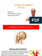 Angiología de Cabeza y Cuello