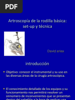 Artroscopía de La Rodilla Básica