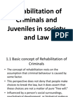 Rehabilitation of Criminals and Juveniles in Society and