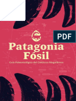 Patagonia Fossil