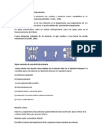 Características de La Dentición Decidua