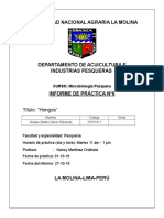 Informe 06 Microbiologia Pesquera