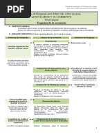 Pajaros - Esquema de La Secuencia