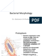 1-Bacterial Morphology