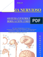 7.4 Sistema Ventricular y Vascular