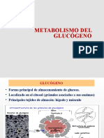 Metabolismo de Glucógeno