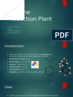 Cumene Production Plant