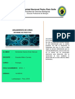 Informe de Virología Practica #2