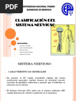 Clasificación Del Sistema Nervioso